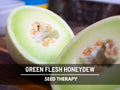Green Flesh Honeydew Melon Seeds – Heirloom Fruit, Non-GMO, Sweet and Juicy Melon for Summer Gardens | 20 Seeds