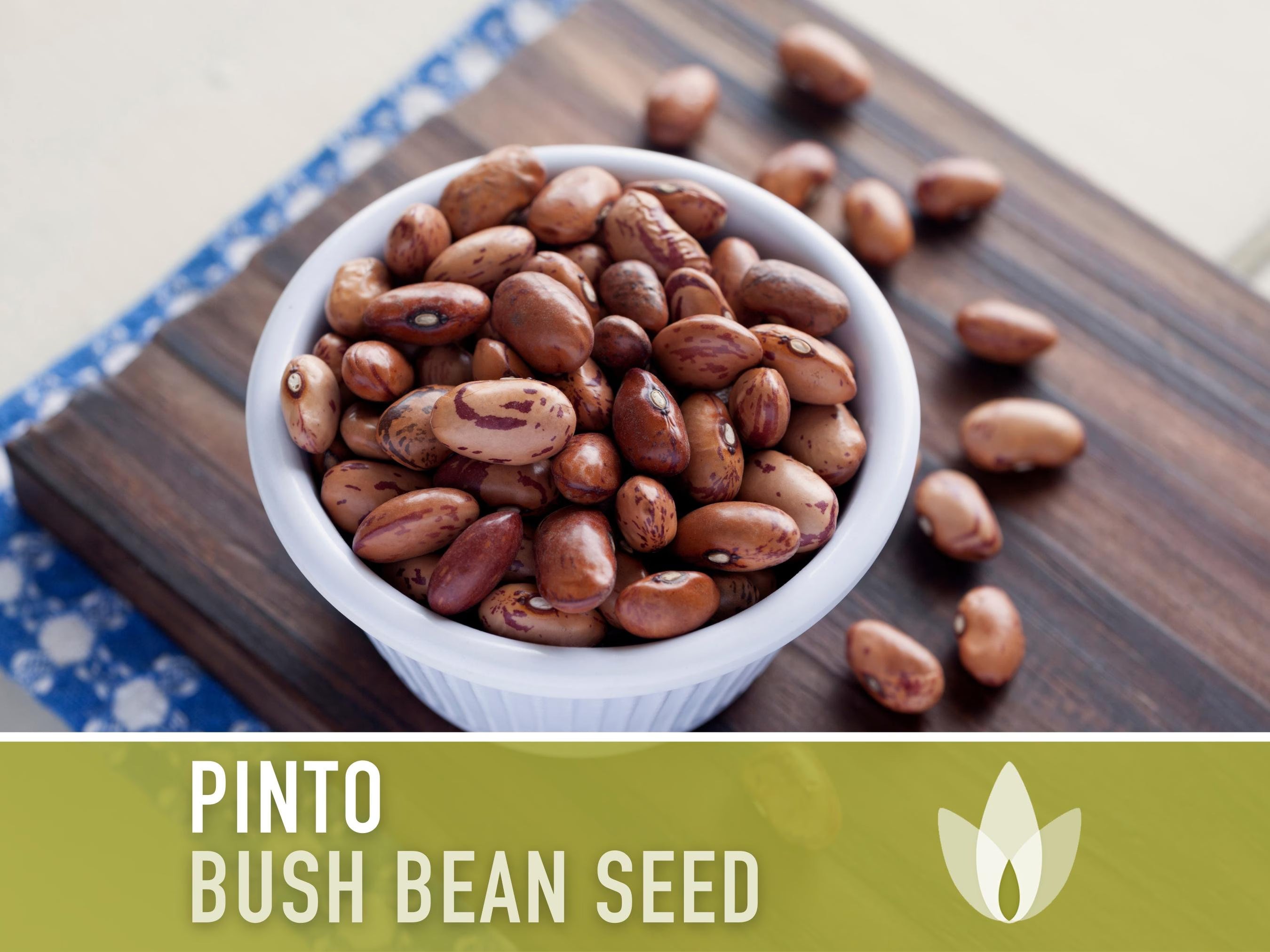 Pinto Bean Seeds - Heirloom Seeds, Runner Bean Seeds, Refried Beans, Soup Bean, Open Pollinated, Untreated, Non-GMO