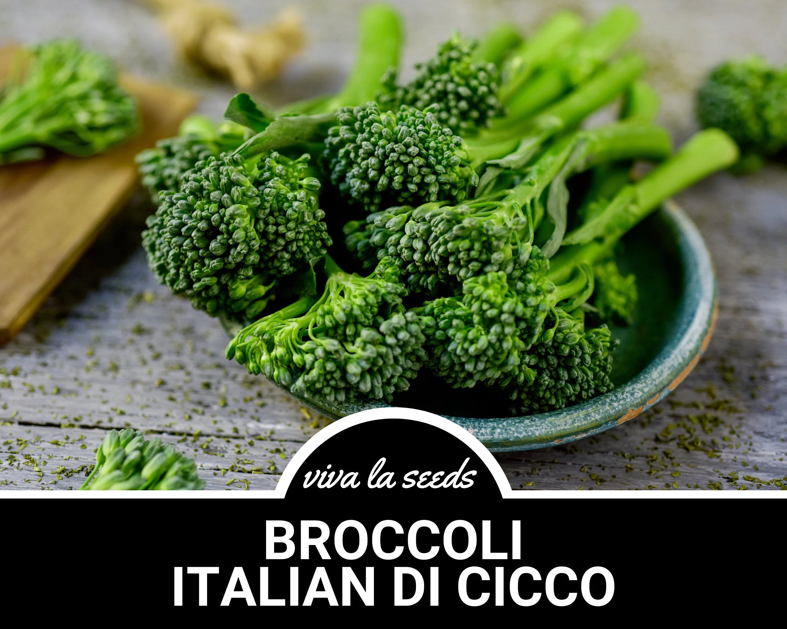 Broccoli, Di Cicco (Italian) | 200 Seeds | Heirloom Vegetable | Broccolini | Non-GMO | Brasssica oleracea