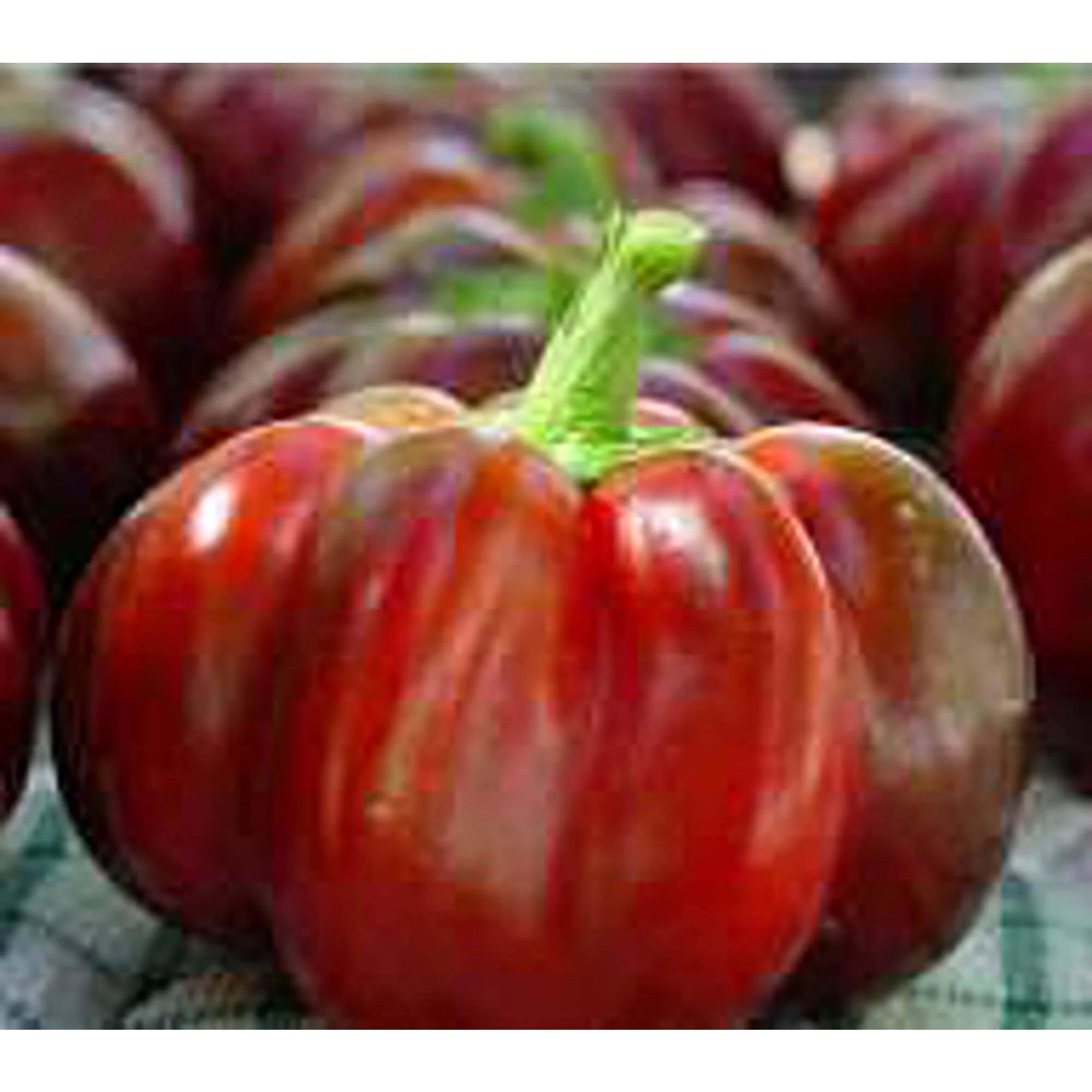 Super Red Pimento Sweet Peppers Seeds(10 Seeds)