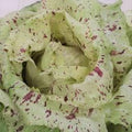castelfranco heirloom  seeds 25