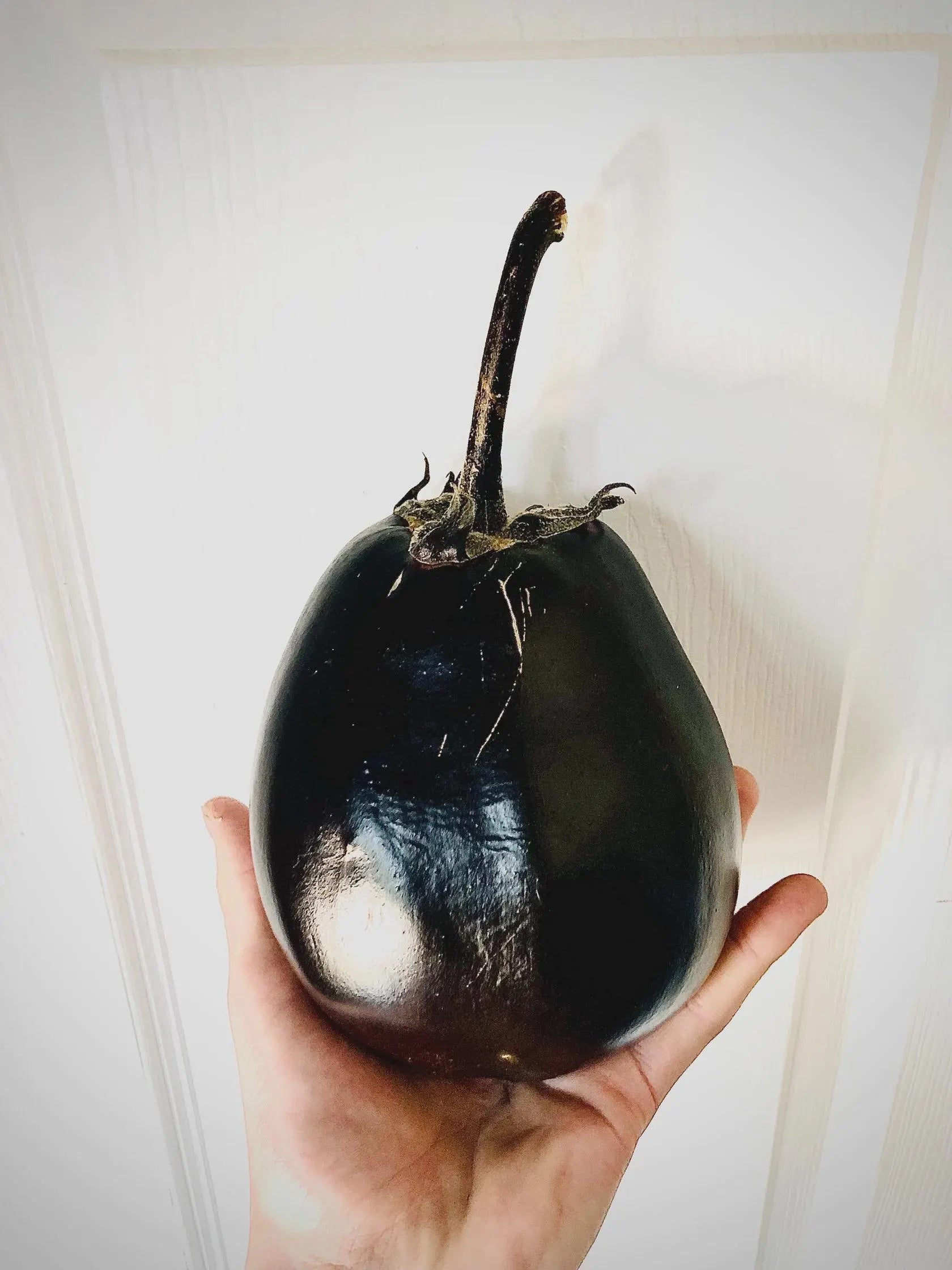 Eggplant Seeds-Mitoyo