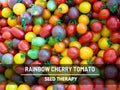 Rainbow Cherry Tomato Seeds – Heirloom Vegetable, Indeterminate Plant, Mixed Colors, Great for Containers, Easy to Grow | 50 Seeds