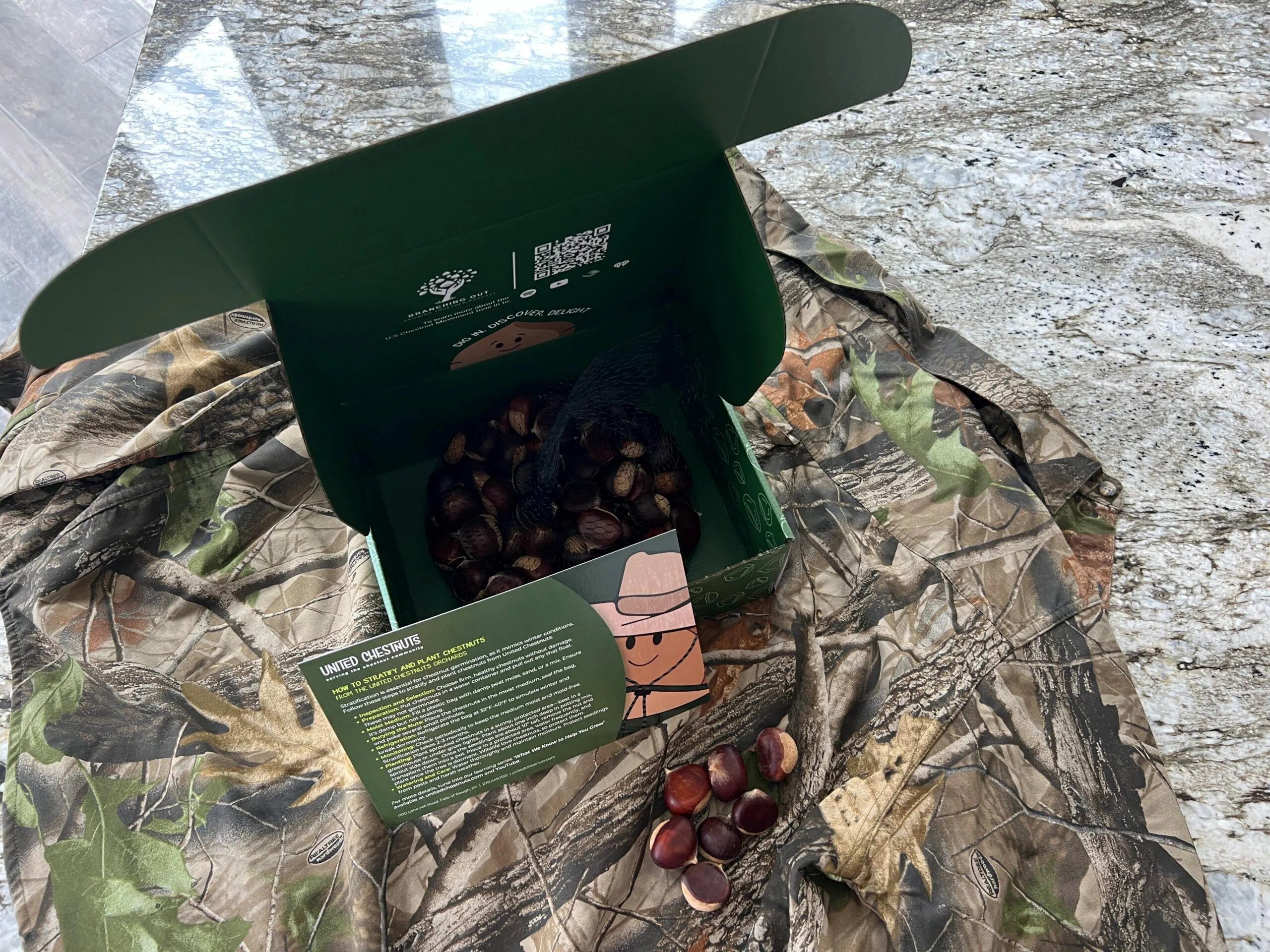 Fresh Chestnuts - 2 Pounds Seed Nuts from EBB Farms (Great for hunters)