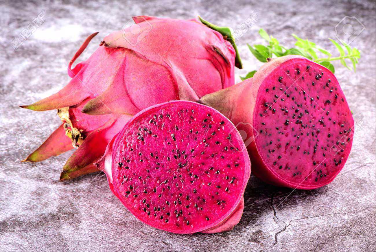 Red Dragon Fruit Seeds ~ Spectacular Flowers ~ Very Easy to Grow, Germinates Readily ~ Pitaya (Hylocereus Costaricensis)(10 Seeds)