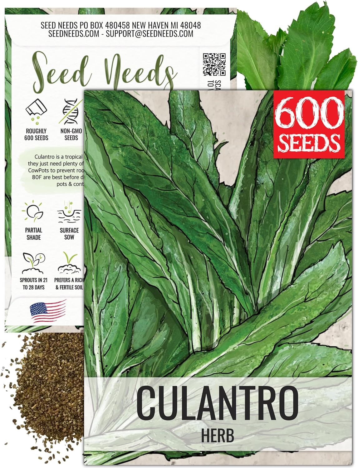 Seed Needs Culantro Seeds for Planting Mexican Coriander - Non-GMO Heirloom  Untreated Culinary/Medicinal Herbs to Grow an Indoor/Outdoor Herb Garden (1 Pack)