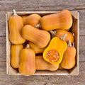 Honeynut Butternut Squash Seeds: Mini, Sweet Flavor - Heirloom Non-GMO