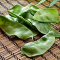 Green Hyacinth Bean Seeds: Organic Edible Ornamental Vine | 5/25/50 Seeds(5 seeds)