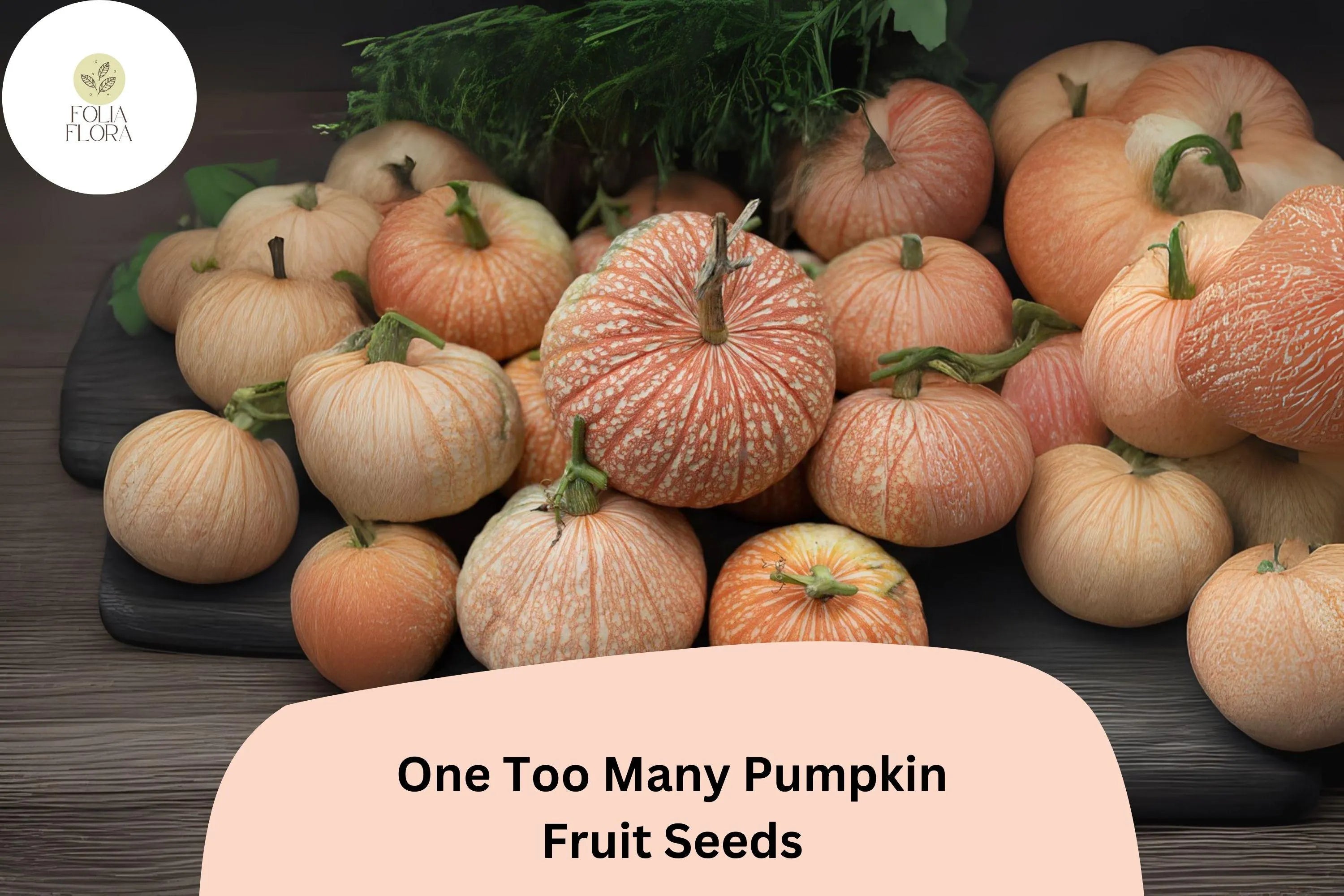 25+ One Too Many Pumpkin Seeds | Unique Red-Striped White Heirloom | Decorative  Edible Pumpkins for Fall Harvest