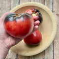 Sgt. Pepper Tomato Seeds | Heirloom Seeds | 20 seeds | Heirloom Tomatoes | Rare Tomato | Organic Garden