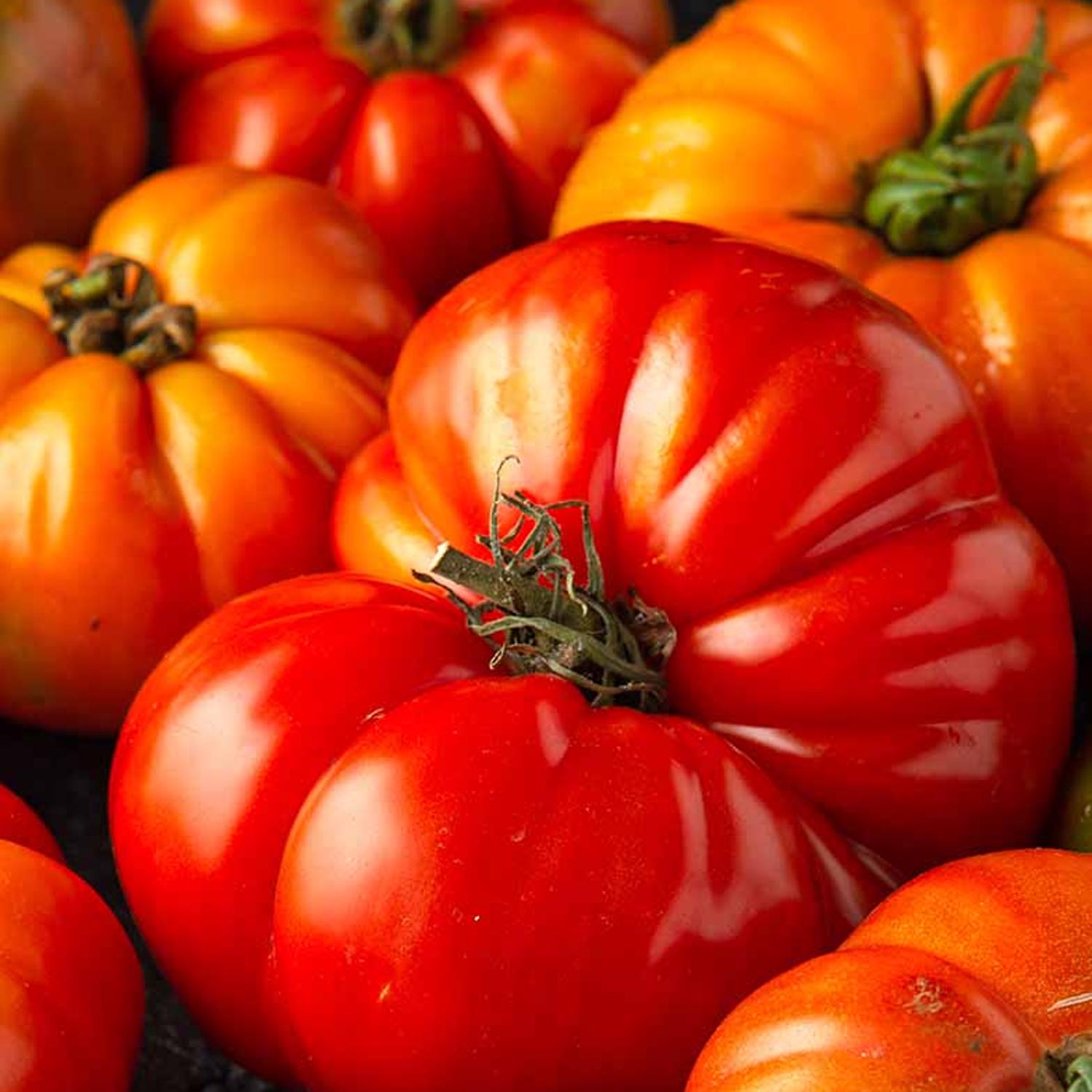 50 Beefsteak Tomato Seeds – Large Juicy Fruits for Slicing, Classic Garden Variety, Rich Flavor, Ideal for Sandwiches and Salads