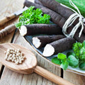 Black Salsify Seeds | Scorzonera hispanica | Heirloom Root Vegetable for Gourmet Cooking  P782(75 Seeds)