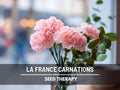 La France Carnation Seeds – Heirloom Flower, Pink Blush Chabaud Blooms, Strong Fragrance, Long Stems, Long-Lasting Cut Flowers | 50 Seeds