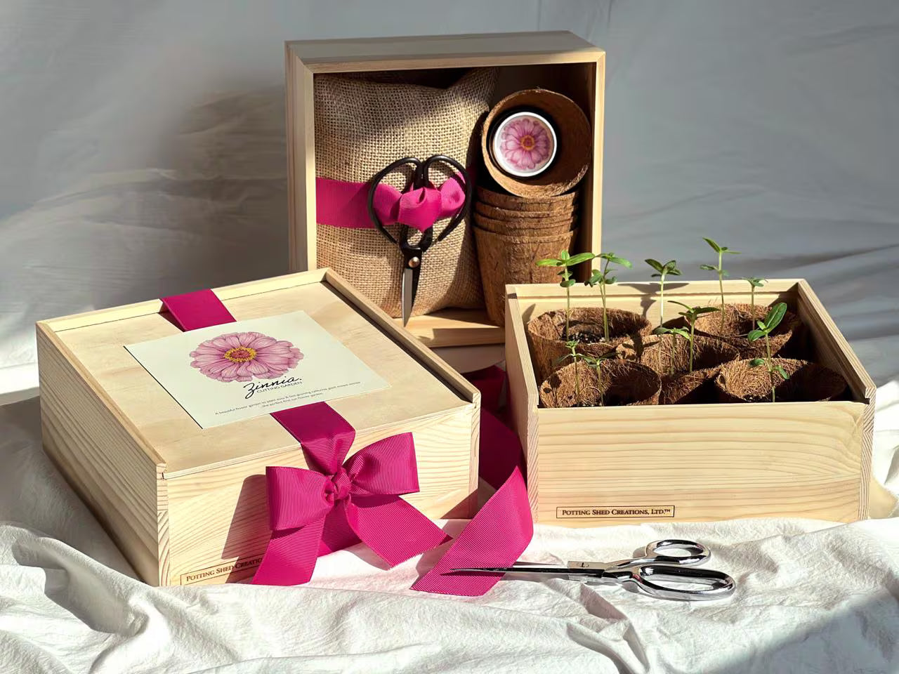 Cutting Garden Box | Mixed Giant Zinnia Flowers NEW - Cut Flower Seeds - Grow Your Own - Flower Gift - Garden Lover - Beginner Friendly