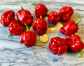 Scotch Bonnet Red Pepper Seeds(10 seeds)