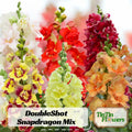 DoubleShot Snapdragon Mix Seeds - Cold Resistant - Attracts pollinators - Open-Pollinating - Plant before the frost/after frost #37