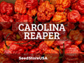 Carolina Reaper Pepper Seeds | Heirloom - Non-GMO | Capsicum Chinense | Vegetable Seeds | Seed Store | 1013(5 Seeds)