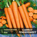 Tendersweet Carrot Seeds: Heirloom Non-GMO, 200+ Seeds
