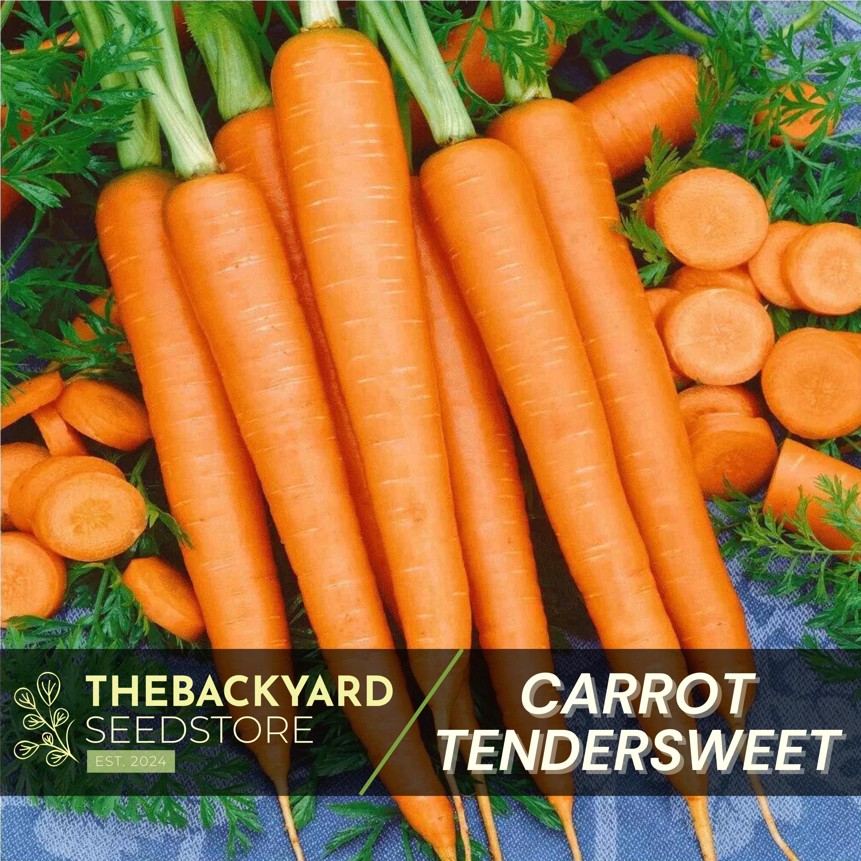 Tendersweet Carrot Seeds: Heirloom Non-GMO, 200+ Seeds