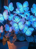 50 Blue Hosta Seeds | Rare Hosta Plantaginea | Perennial Shade Garden Flowers | Easy to Grow