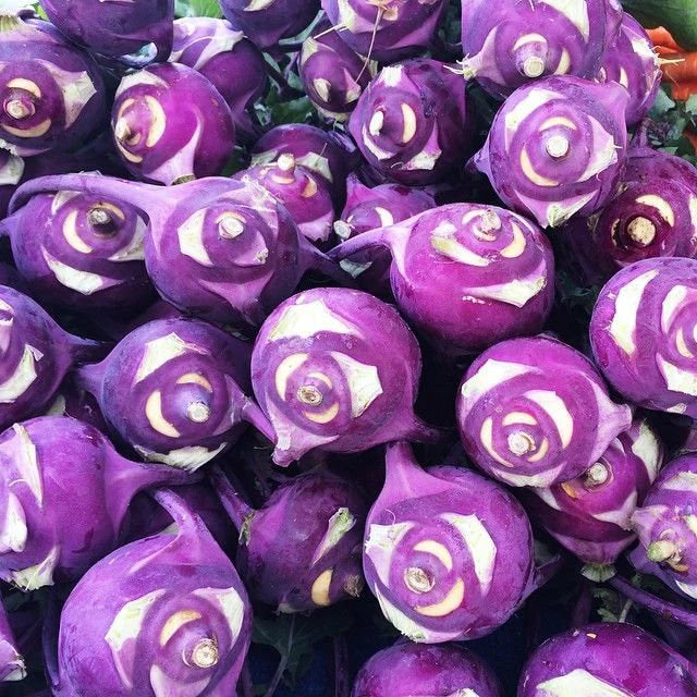 Kohlrabi Purple Vienna Seeds 300+ Vegetable Garden HEIRLOOM NON-GMO