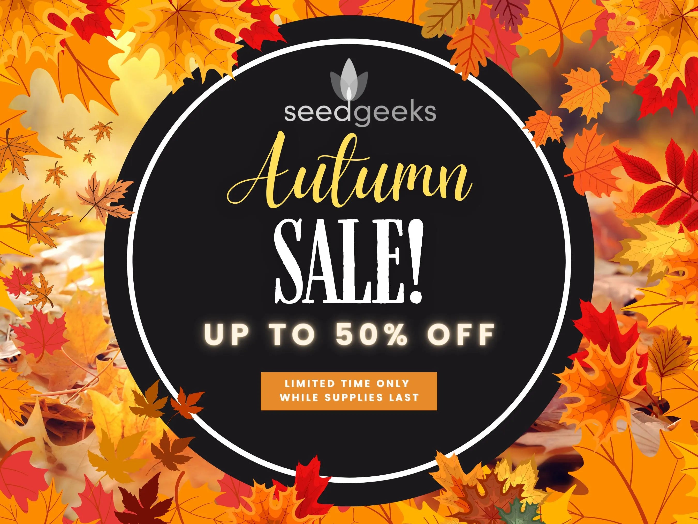 MASSIVE 50% OFF Seed Sale! Limited time only, while supplies last.
