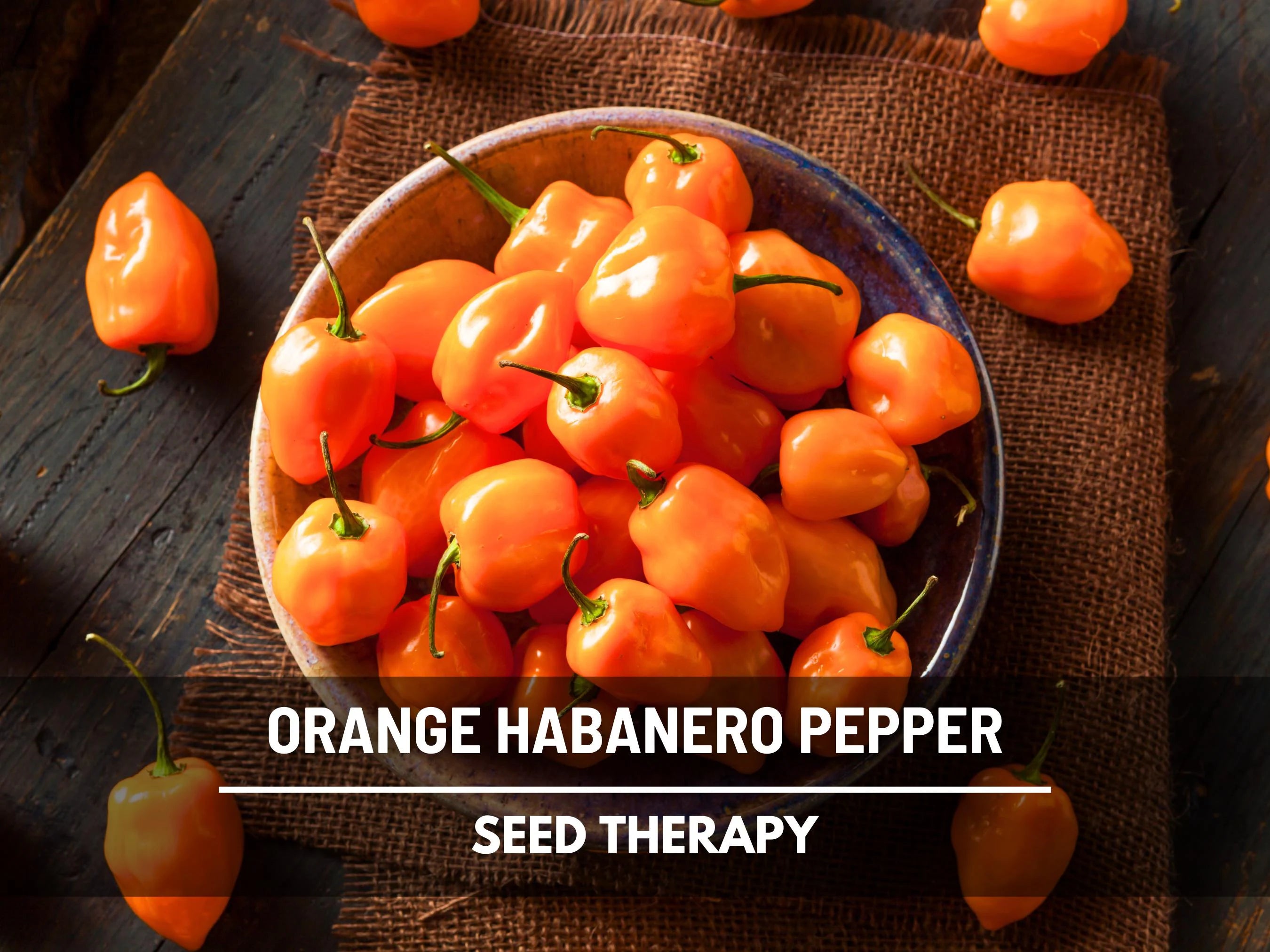 Orange Habanero Pepper Seeds – Heirloom, Spicy Caribbean Pepper, Fruity Hot Flavor, Non-GMO Seeds | 30 Seeds
