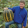 Tours Pumpkin Seeds: Rare French Heirloom, Open Pollinated