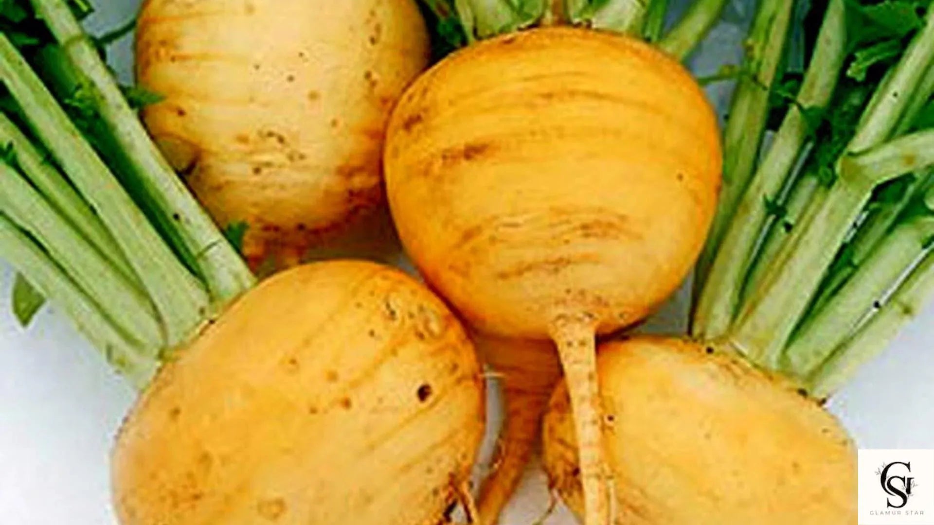 5000 Golden Globe Turnip Seeds  Non-GMO Heirloom Vegetable | Fast Growing Root Crop | Sweet Mild Flavor | USA Garden Seeds Fresh