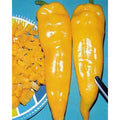 Corno di Toro Giallo Pepper Seeds(10 Seeds)