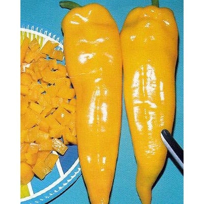Corno di Toro Giallo Pepper Seeds(10 Seeds)