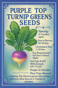 Purple Top Turnip greens seeds