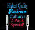 2 Pack Liquid Culture Syringes  - Gourmet Mushroom Culture Special!