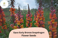 Antirrhinum majus Opus Early Bronze Snapdragon Seeds – 1000+ Warm Copper-Toned Blooms for Garden  Cut Flowers