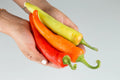 Hungarian Wax Hot Pepper Seeds, Non-GMO HEIRLOOM, Hot Banana Pepper, With Tracking Included(30 Seeds)
