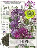 Seed Needs Cleome Seeds for Planting Spider Plants - Heirloom  Open Pollinated Wildflower Seeds to Grow a Butterfly Garden to Attract Pollinators (1 Pack)