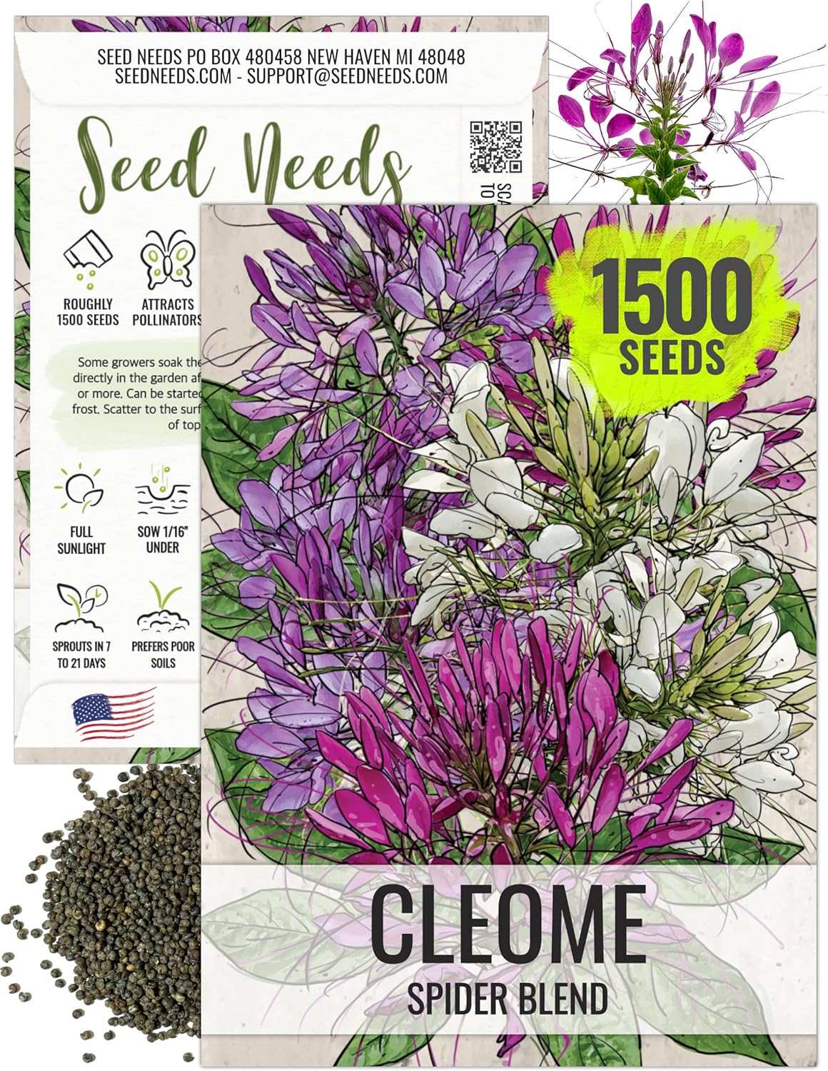 Seed Needs Cleome Seeds for Planting Spider Plants - Heirloom  Open Pollinated Wildflower Seeds to Grow a Butterfly Garden to Attract Pollinators (1 Pack)