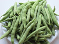 WHITE HALF RUNNER Green Bean - Heirloom - Old Time Southern Favorite- Pkt 100 Seeds