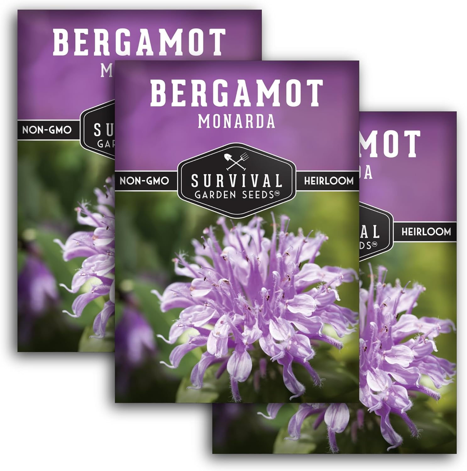 Bee Balm Seeds for Planting - Wild Bergamot (Monarda Fistulosa) Perennial Native Wildflower  Medicinal Herb for Pollinator Gardens, Fragrant Heirloom Flower - Survival Garden Seeds (1 Pack)(3)