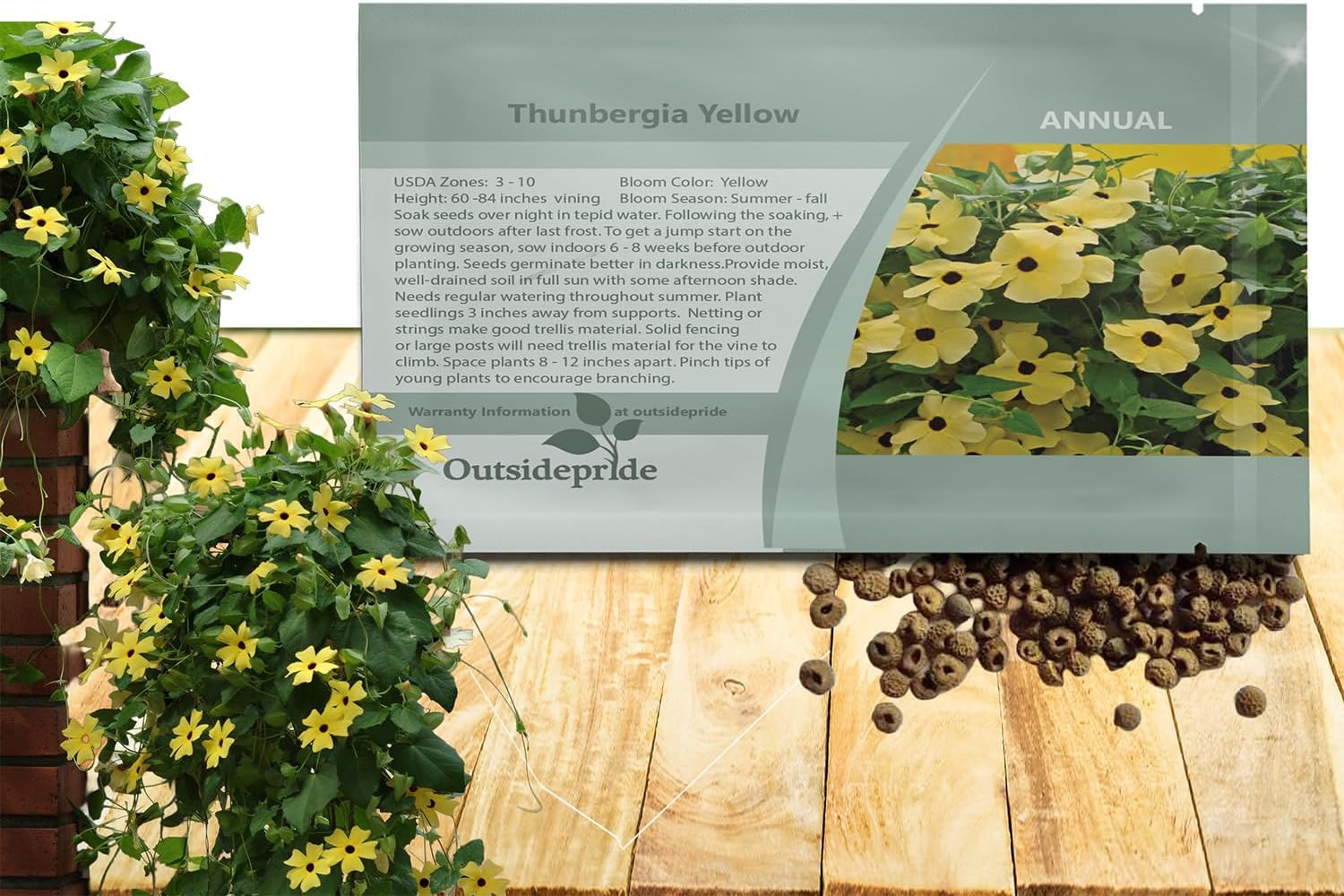 Outsidepride Sunrise Yellow Thunbergia Black Eyed Susan Seeds - 100 Pcs Annual, Climbing Vine Flower Seeds for Planting Yellow Blooms for Low Maintenance Gardens, Containers, Trellis  Fences(200 Seeds)