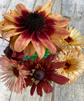 Sahara RUDBECKIA Excellent Cut Flower Fall Colors Bouquet Garden Rare Unique Seeds