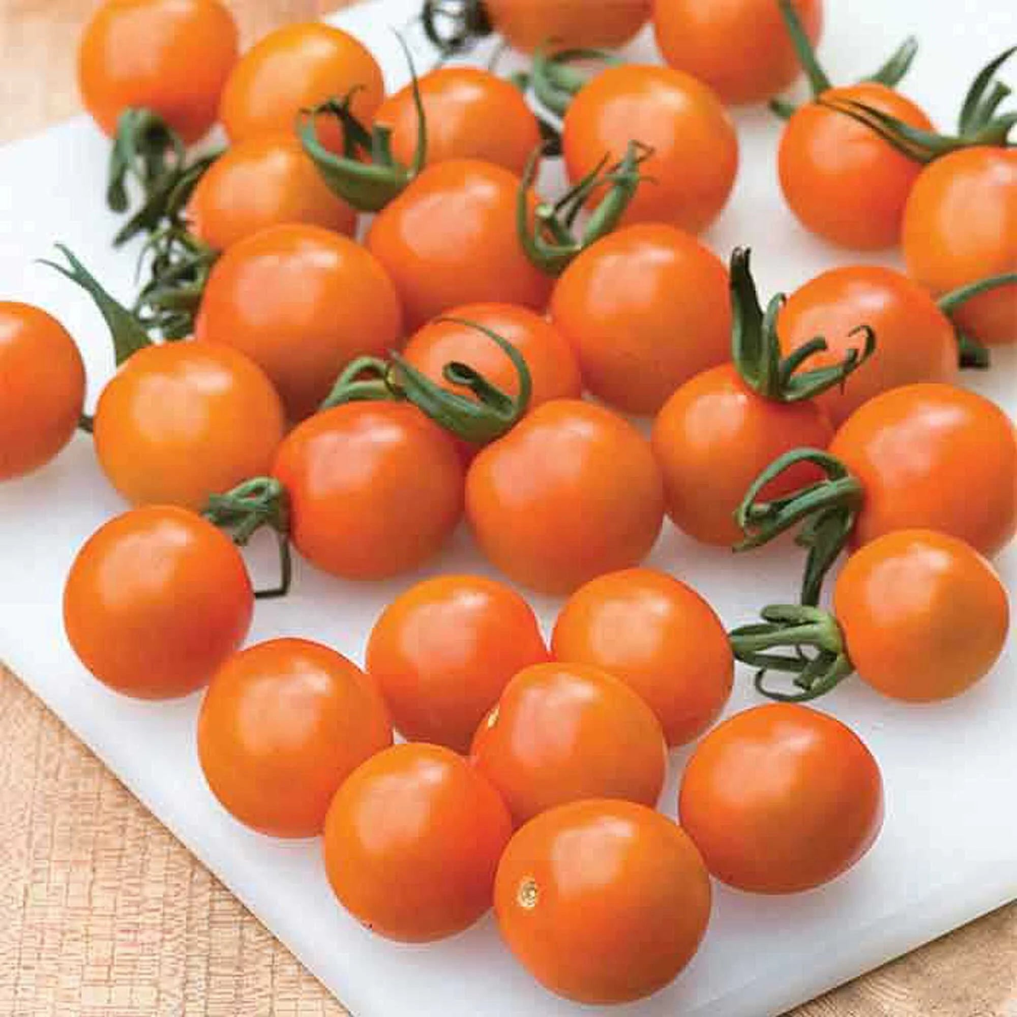 Orange Paruche Tomato Seeds(10 Seeds)