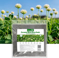 Groundio Annual Crimson Clover Seeds, 2 lbs, Trifolium Incarnatum Seeds for Lawn, Attracts Pollinators, Nitrocoated and Inoculated Seeds for Garden(Trifolium Repens)(white/2 LB)